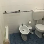 Coracoes Unidos 